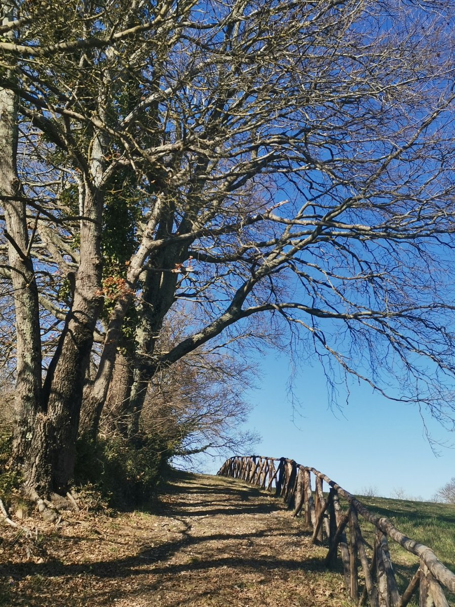 Percorso 11 Km