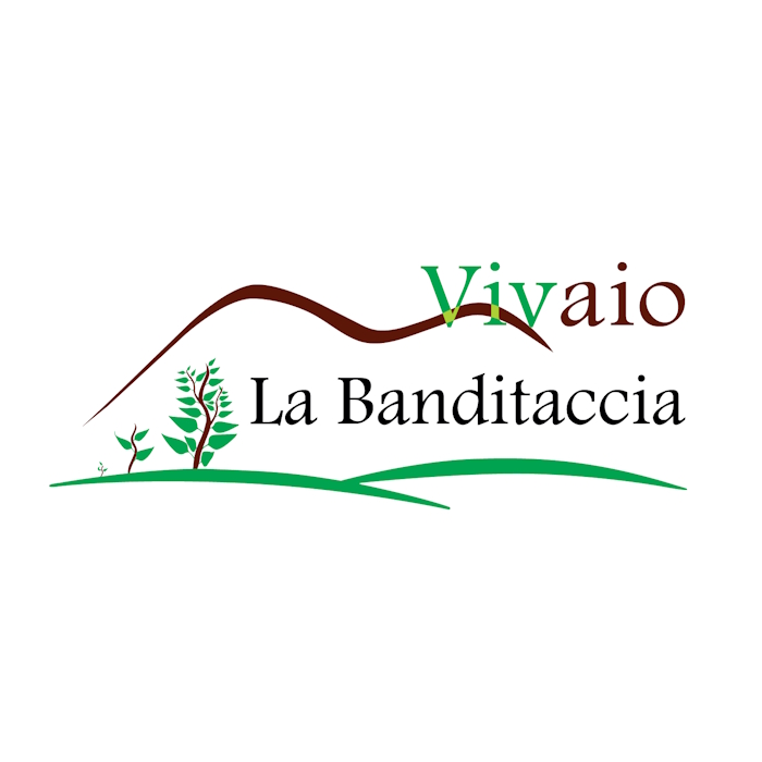 La Banditaccia